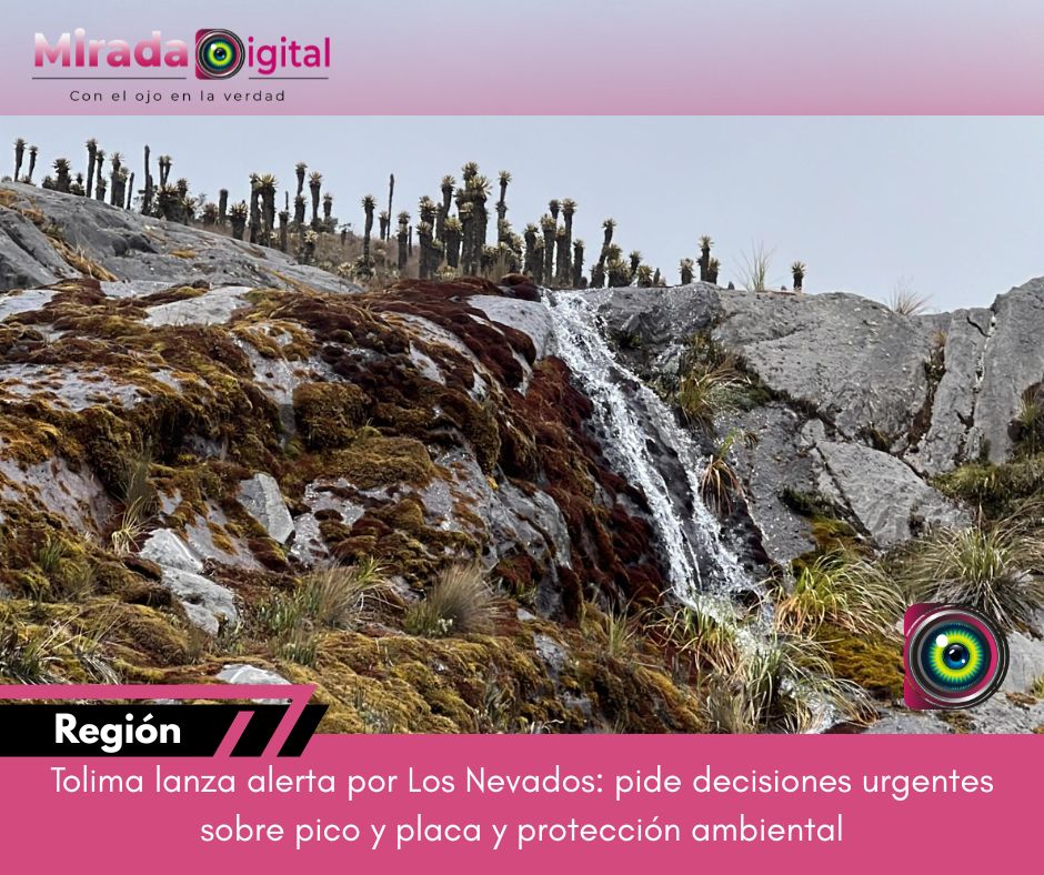 Tolima lanza llamado urgente al Gobierno por pico y placa y protección de Los Nevados
