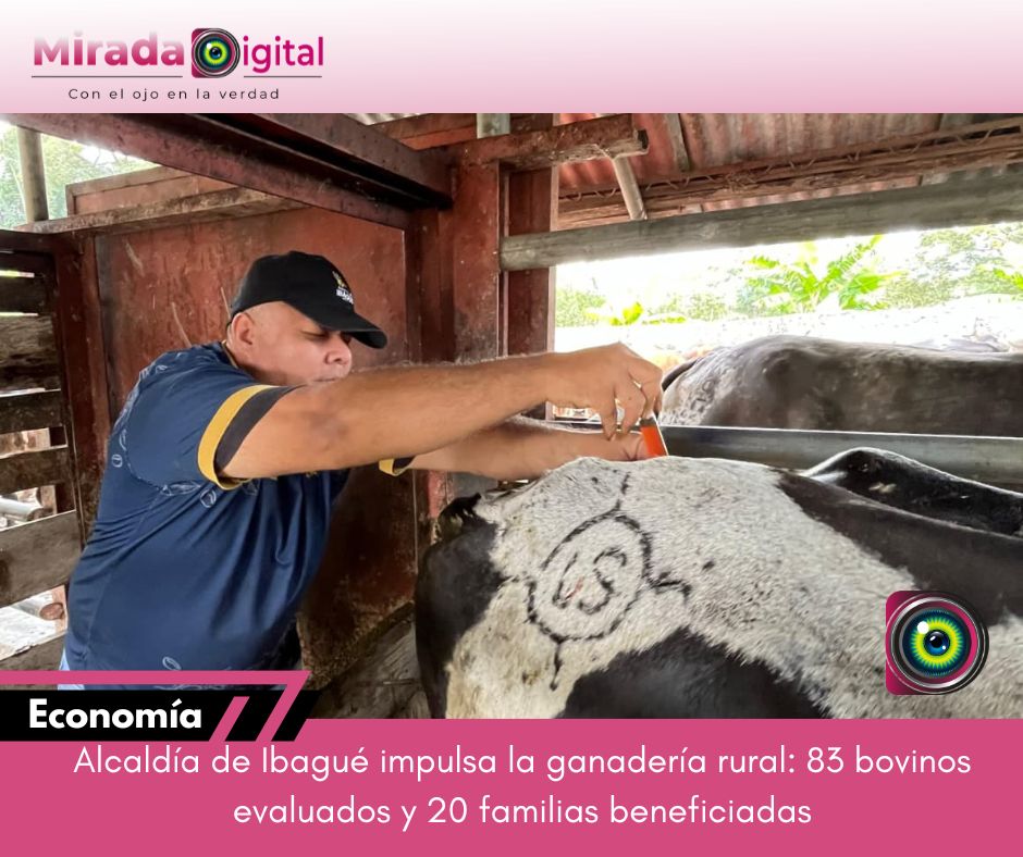 Alcaldía fortalece la productividad ganadera en zona rural de Ibagué con asistencia técnica a familias campesinas